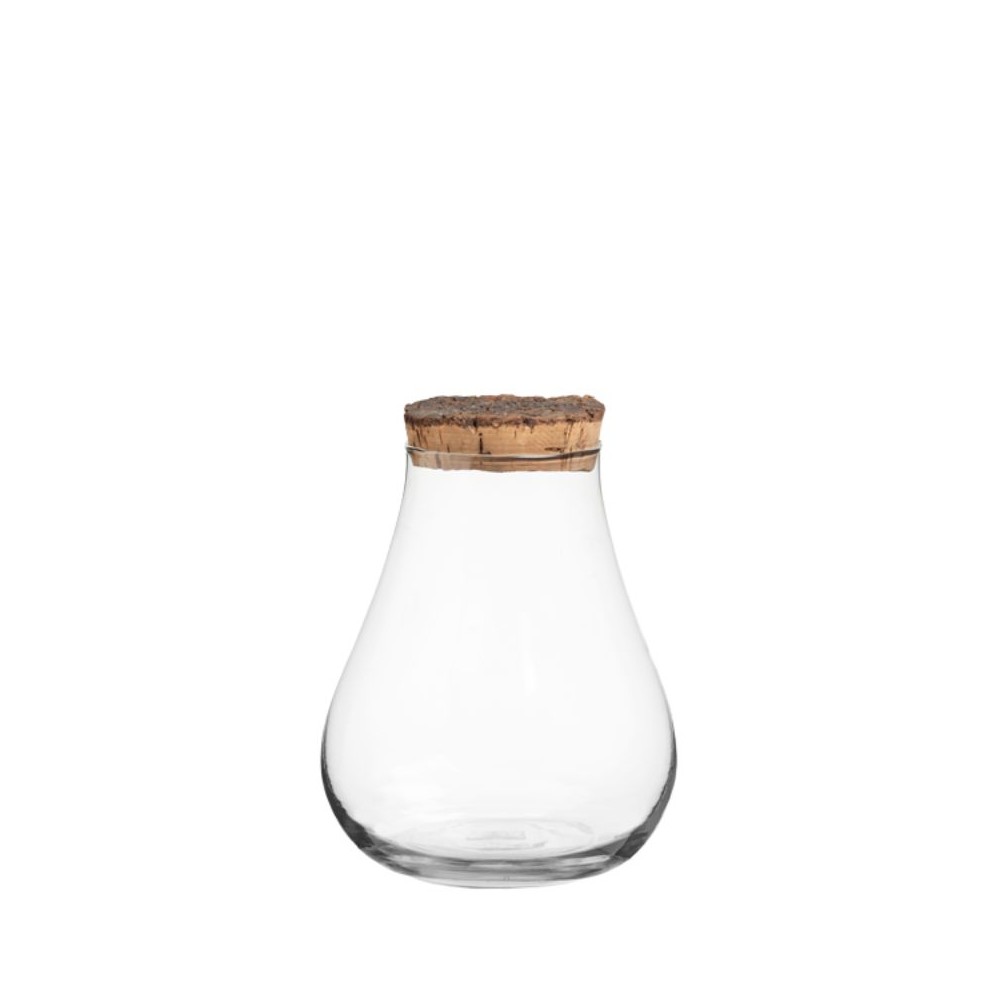 Terrarium in Vetro con Tappo in Sughero | Decorazione Naturale